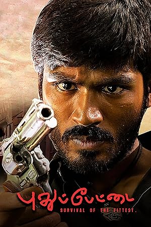 Pudhu Pettai Poster